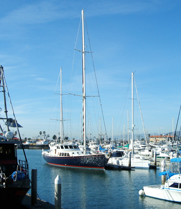 About Harbor Island West Marina in San Diego